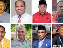 Ini 8 Kandidat Balon Gubernur-Wagub PBD Berebut Rekomendasi NasDem