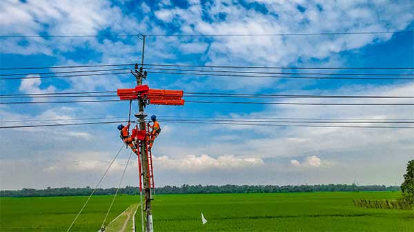 PLN Laba Meningkat Signifikan 5