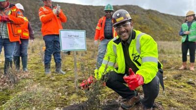 Aksi Tanam Ratusan Bibit di Grasberg Awali Rangkaian Peringatan HLH 2024 di Mimika