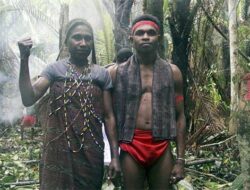 Gusur Tanah-Hutan Adat Marga Klagilit, PT Inti Kebun Sejahtera Diminta Bertanggung Jawab