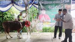 Momen penyerahan hewan kurban dari Elisa Kambu kepada pengurus masjid Al Akbar yang diterima Ketua DKM Al-Akbar Kota Sorong Abubakar Alhamid / Foto : Suzan