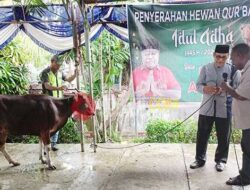 Silaturahmi ke Sejumlah Masjid di Kota dan Kabupaten Sorong, Elkam Bagikan Hewan Kurban