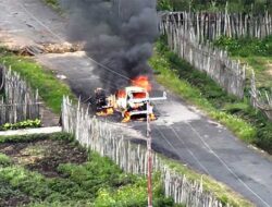Aksi Sadis KKB di Paniai: Bakar Mobil dan Tembak Mati Sopir