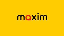 Logo Maxin