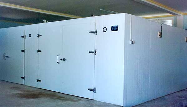 PLN Tambah Daya Cold Storage-Gudang Penyimpanan Berbasis Energi Hijau, Pertama di Papua 3 PLN Tambah Daya Cold Storage SAGA Punya3