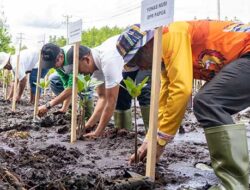 PLN Dukung Restorasi Kawasan Mangrove di Enggros, Tanam 1.000 Bibit Pohon
