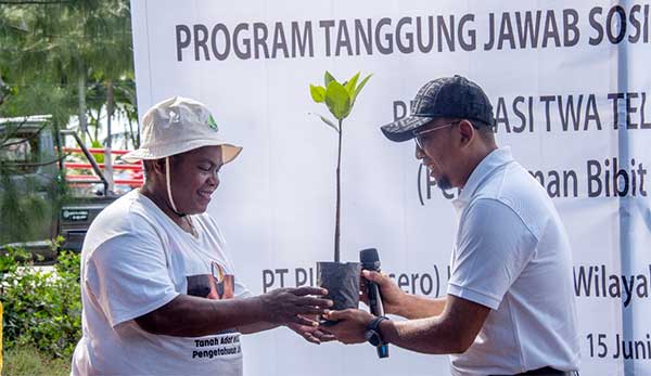 PLN Tanam 1000 Pohon Mangrove di TWA Teluk Youtefa3