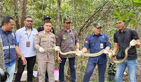 Karantina PS Periksa Kesehatan 150 Satwa Liar3