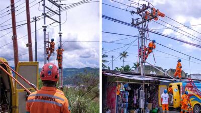 PLN Tim PDKB