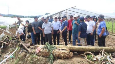 Petani Waiheru Terdampak Curah Hujan Tinggi, Pj Gubernur Siapkan Langkah Penanganan