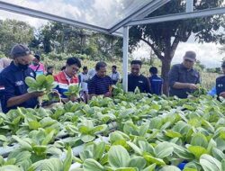 IT Wayame Bersama Kelompok PROKLIM Dusun Keranjang Tanam 500 Bibit Pohon