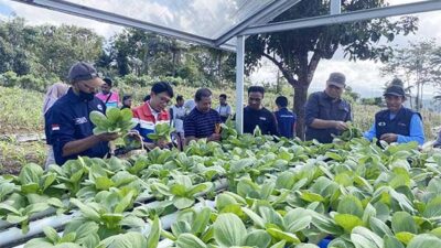 IT Wayame Bersama Kelompok PROKLIM Dusun Keranjang Tanam 500 Bibit Pohon