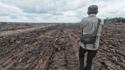 PUSAKA PSN Satu Juta Ha Sawah Merauke