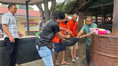 Polda Papua Musnahkan Ganja