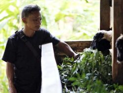 Pengembangan Biomassa PLN di Tasikmalaya: Dikelola Masyarakat, Didukung Pemerintah
