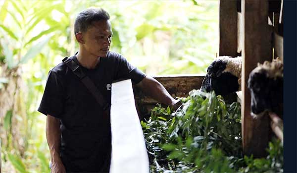 PLN Pengembangan Biomassa di Tasikmalaya