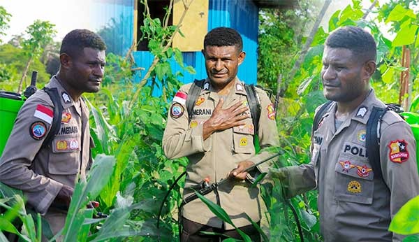 Begini Cara Brigpol Victor Merani Dukung Ketahanan Pangan Nasional di Papua 1 IMG 20241120 WA0012