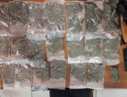 Ditresnarkoba Polda Papua Berhasil Ringkus Pelaku Penjual Narkotika Jenis Ganja