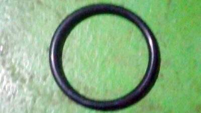 Astaga, Heboh “Gelang Hitam” Pasukan Coblos Gegerkan Kota Timika