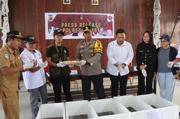 Polres Asmat Ungkap Perdagangan Ribuan Labi-Labi Moncong Babi 1 IMG 20241224 WA0007