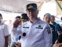 Ini Janji Pj Gubernur Papua Tengah Selesaikan Wabah Virus ASF di Nabire