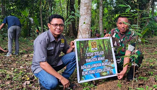 Yayasan Sorsilai Tanimbar Tanam Pohon