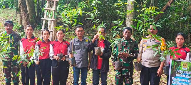 Yayasan Sorsilai Tanimbar Tanam Pohon2