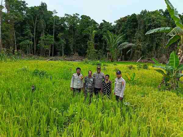 IMG 20250103 WA0006