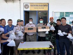 Barantin Berhasil Gagalkan Penyelundupan Seratusan Satwa Dilindungi di Papua Selatan