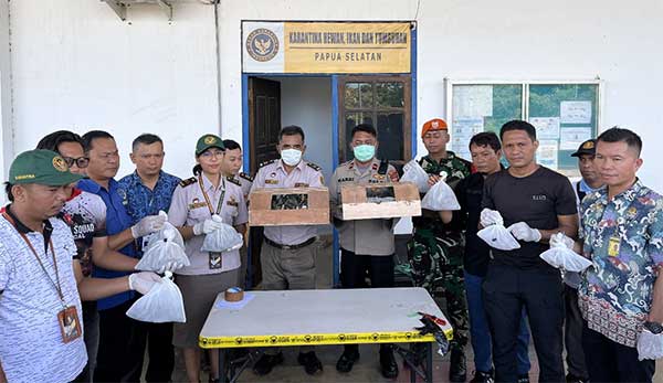 Karantina PS Gagal Penyelundupan seratusan Satwa dilindungi2