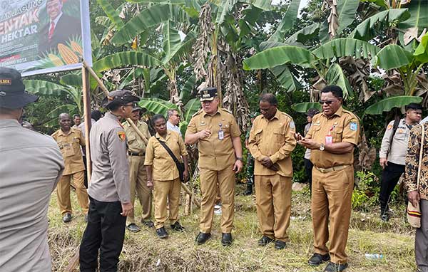 Pemkot Sorong Dukung Tanam Jagung 1 Juta Hektar2