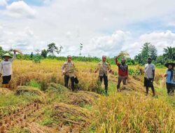 Dukung Program Nasional, Polres Keerom Fokus Gencarkan Ketahanan Pangan