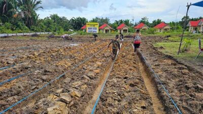 Polsek Kouh Siapkan Lahan Ketahanan Pangan