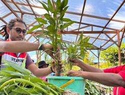 SKK Migas-Pertamina EP Papua Konsisten Dukung Kemandirian Pangan di PBD