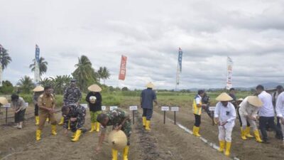 Lantamal X Laksanakan Ketahanan Pangan Dukung Program Pemerintah