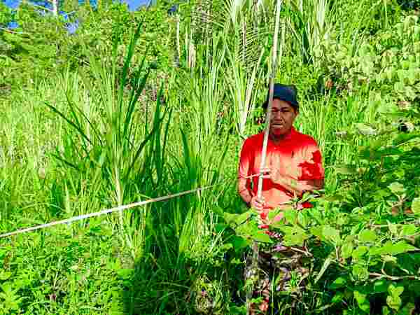 Poktan Binaan PYCH-Polda Papua Masuki Tahap Pasang Patok dan ukur Luas Lahan 2 IMG 20250211 WA0003