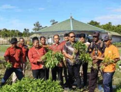 Lapas Kelas IIB Timika Panen Sayur Dukung Program Ketahanan Pangan