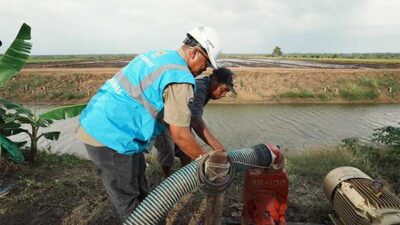 PLN Program EA Pelanggan Baru 2024