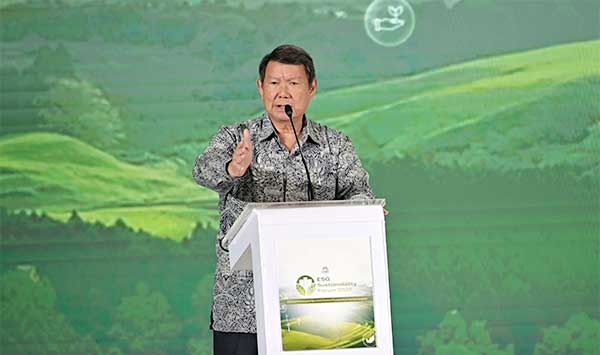 PLN Hashim Apresiasi Indonesia di Forum ESG
