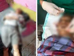 OTK Kembali Beraksi, Tembak Mati Mantan Kapolsek di Puncak Jaya