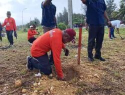 Peduli Lingkungan, Gereja di Jayapura Tanam 750 Cemara Sambut HUT PGI ke 75