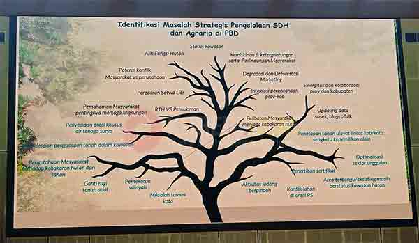Komite II DPD RI Soroti Hutan PBD, Sebut Aktivitas Ini Jadi Ancaman Besar 3 Hutan PBD2