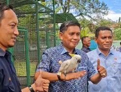 Wali Kota Ambon Kunjungi BKSDA Maluku, Bahas Berbagai Isu Terkait Konservasi SDA