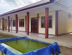PLN Salurkan Bantuan Listrik Gratis: Program TJSL Akomodir 52 Fasum di Tanah Papua