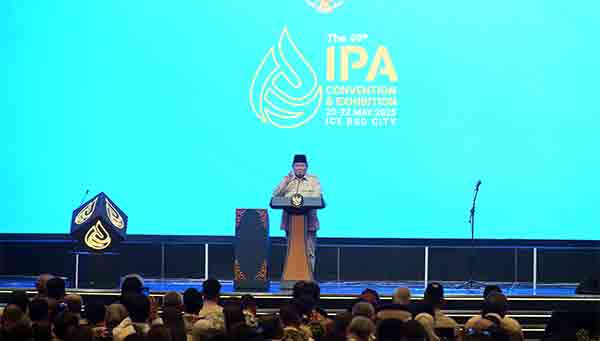 PLN IPA Convex 2025