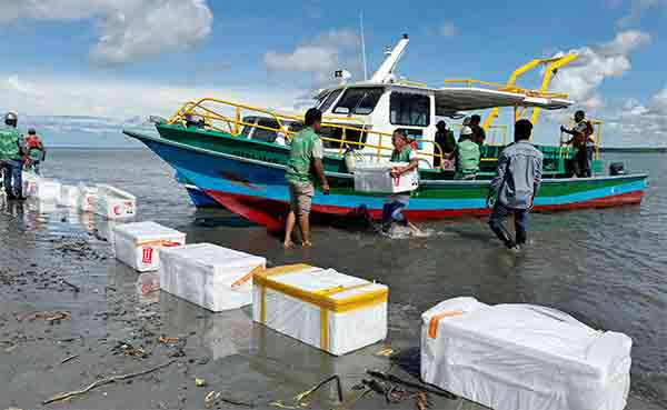 PTFI Tebar Anakan Ikan Kepiting di Muara Sungai Ajkwa