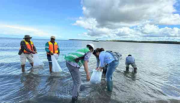 PTFI Tebar Anakan Ikan Kepiting di Muara Sungai Ajkwa4