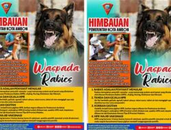 Pemkot Ambon Keluarkan Himbauan Waspada Rabies