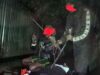 Satgas ODC-2025 Tembak Mati 2 Anggota KKB Pembunuh Josep Agus Lepa