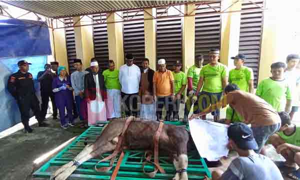 Bupati JR Penyembelihan Hewan Kurban